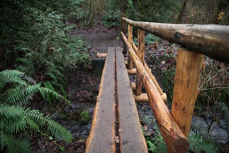 Log Bridge, Backyard Bridges, Log Building, Bridge Project, Woodland Path, Tree Logs, Backyard Pond, Ponds Backyard, Cabin Ideas