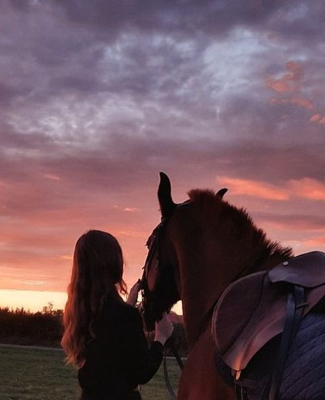 Horse Sunset, Horse Photography Poses, Cute Horse Pictures, Cute Piglets, Hiding Face, Horse Aesthetic, Most Beautiful Horses, Profile Pictures Instagram, Tumblr Photography