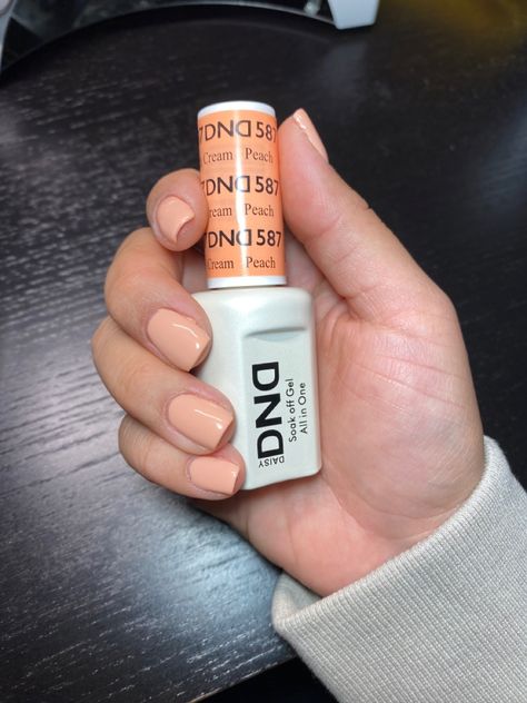 Dnd 536 Creamy Macaroon Nails, Peach Cream Nails, Peach Dnd Gel Nails, Dnd Peach Gel Polish, Dnd Spring Nail Colors 2024, Dnd Gel Polish Colors Spring 2024, Dnd Gel Polish Colors Spring, Peach Gel Polish, Dnd Nail Colors