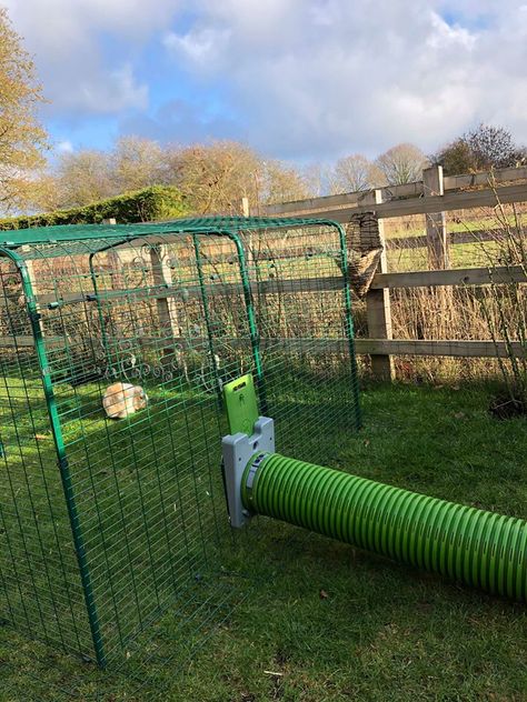 How Much Space Does a Rabbit Need? | Rabbit Hutches | Rabbits | Guide Bunny Sheds, Rabbit Tunnel, Rabbit Hutch And Run, Guinea Pig Run, Rabbit Jumping, Guinea Pig Hutch, All About Rabbits, Flemish Giant, Raising Rabbits