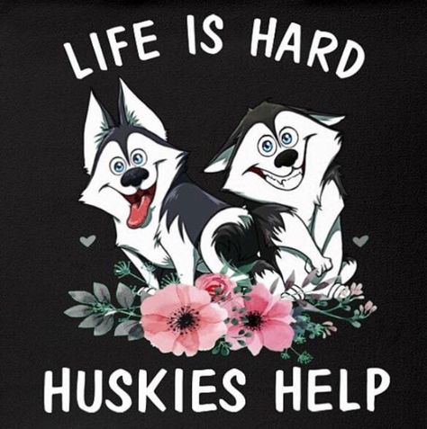 Husky Mom Quotes, Husky Meme, Husky Quotes, Funny Dog Quotes, Funny Husky, Friendly Dog Breeds, Husky Owner, Alaskan Husky, Husky Funny