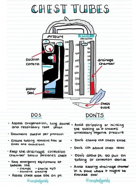 Chest Tubes #nursingschool #nursingstudent #study - Image Credits: Cece's Study Guides Paramedic Notes, Nurse Hacks, Nurse Education, Nurse Notes, Nurse Educator, Nurse Study, Chest Tube, Nursing School Essential, Study Stuff