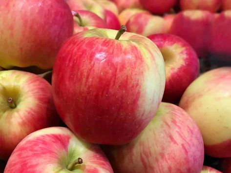 Ambrosia apples are a newer addition to the apple market, but they’re gaining popularity around the world.  If you’re not familiar with the variety, keep Sweet As Honey, Apple Varieties, Juice Boxes, Green Fruit, Granny Smith, Apple Juice, Apple Crisp, Apple Tree, Growing Tree