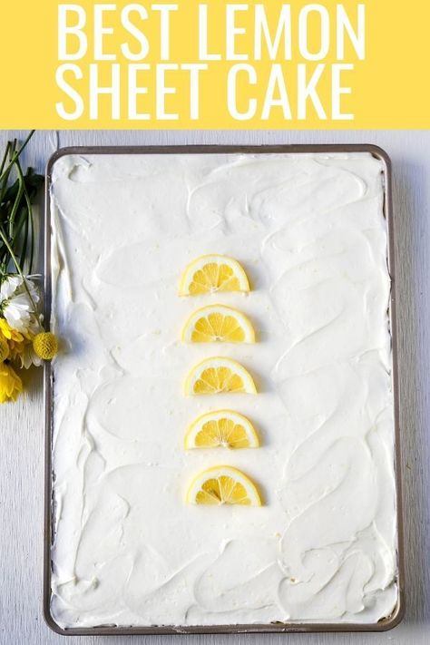 Lemon Sheet Cake Recipe, Lemon Sheet Cake, Modern Honey, Lemon Olive Oil Cake, Sheet Cake Recipe, Homemade Sour Cream, Lemon Cream Cheese Frosting, Levain Bakery, Bowl Cake