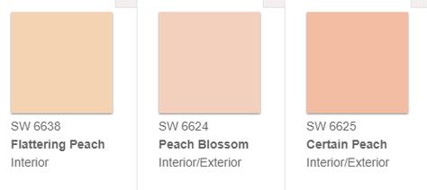 Favorite peach colors by Sherwin Williams. I'm leaning toward the Flattering Peach. Sherwin Williams Certain Peach, Sherwin Williams Peach Blossom, Flattering Peach Sherwin Williams, Certain Peach Sherwin Williams, Peach Blossom Sherwin Williams, Sherwin Williams Peach Colors, Coastal Loft, Peach Paint Colors, House Painting Tips