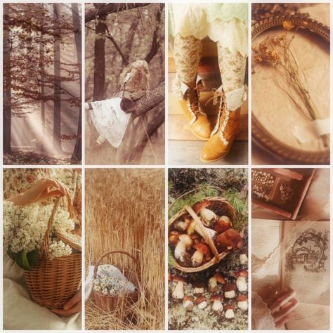 I own none of the images and they are a result of long and random searching. #moodboard #aesthetic #aestheticmoodboard #forest #forestaesthetic #nature #natureaesthetic #wood #woodaesthetic #mori #morikei #moriaesthetic #brown #brownaesthetic #cottageaesthetic #cottagecore #soft #softaeshetic Morikei Aesthetic, Mori Kei Aesthetic, Cottagecore Moodboard, Kei Aesthetic, Ideal Aesthetic, Cottage Aesthetic, Mori Kei, Moodboard Aesthetic, Book Annotation