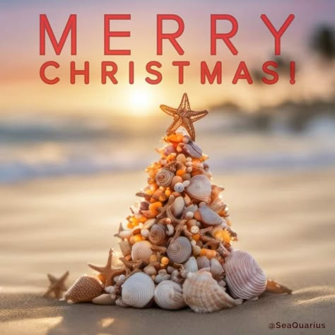 Beach Christmas Pictures, Xmas Photoshoot, Animated Christmas Pictures, Wine Cork Crafts Christmas, Seaside Christmas, Beach Christmas Trees, Cork Crafts Christmas, Christmas Palm Tree, Happy Day Quotes