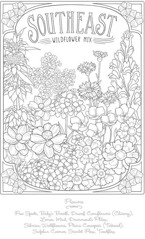 Welcome to Dover Publications Flower Colouring Pages, Dover Coloring Pages, Elephant Coloring, Forest Coloring Book, Creative Haven Coloring Books, Enchanted Forest Coloring, Coloring Pages For Grown Ups, Elephant Coloring Page, Dover Publications