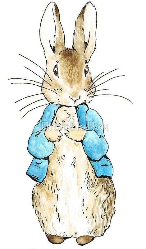 Peter Rabbit - Beatrix Potter Peter Rabbit Pictures, Peter Rabbit Illustration, Beatrix Potter Illustrations, Beatrice Potter, Peter Rabbit Birthday, Peter Rabbit Party, Rabbit Pictures, Peter Rabbit And Friends, Rabbit Drawing