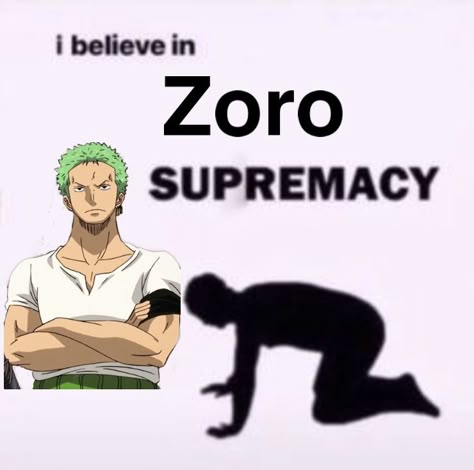 Zoro Supremacy, Zoro Meme, One Piece Meme, Zoro One Piece, One Chance, Japanese Characters, One Piece Comic, Roronoa Zoro, Im Bored