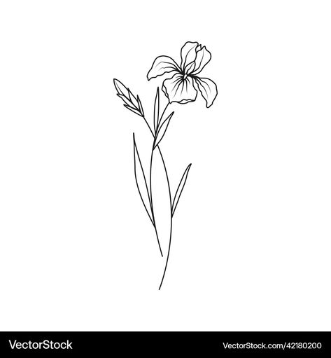 Iris Floral Tattoo, Iris Flower Drawing Simple, Iris Drawing Simple, Iris Tattoo Black, Iris Drawing Flower, Iris Flower Tattoo Black, Iris Flower Tattoo Small, Simple Iris Tattoo, Iris Flowers Tattoo