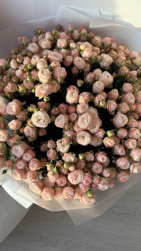 Aesthetic Wallpaper Fall, Wallpapers Flowers, Wallpaper Aesthetic Wallpaper, Wallpaper Fall, Flowers Cute, Boquette Flowers, Wallpaper Halloween, Flowers Bouquet Gift, Study Aesthetic