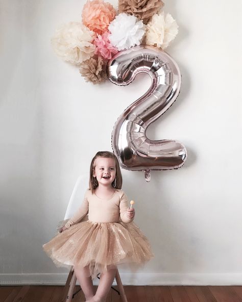 Happy Birthday 2 Year Girl, Diy 2nd Birthday Photo Shoot, 2nd Birthday Photo Shoot Ideas Indoor, 2nd Bday Photoshoot, 2 Year Birthday Pictures, 2nd Birthday Decorations For Girl, 2year Birthday, 2nd Birthday Photo Shoot Ideas, Toddler Birthday Decorations