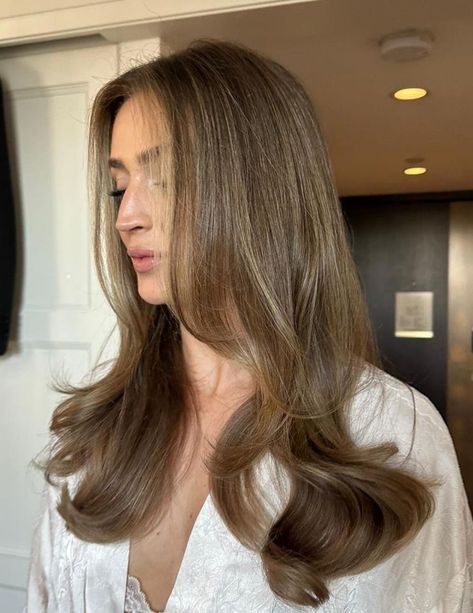 Light Brown Hair Styles, Light Brown Hair Shades, Allana Davison, Brown Hair Styles, Light Brunette Hair, Brown Hair Inspiration, Light Brown Hair Color, Rambut Brunette, Beige Hair