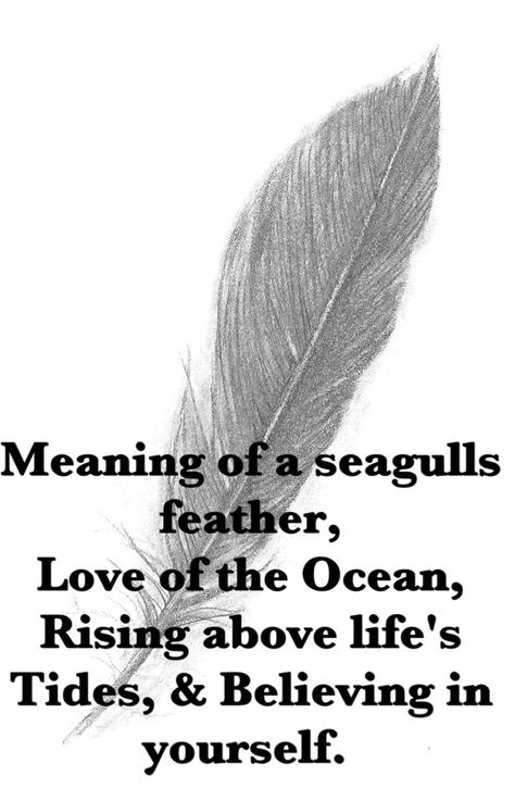 Seagulls feather Dove Feather Meaning, Seagull Feather Tattoo, Seagull Quotes, Seagull Meaning, Birds Of A Feather Quote, Seagull Symbolism, Feather Art Projects, Seagull Spirit Animal, Seagull Tattoo