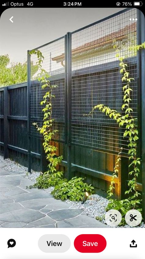 Garden Fence Decoration, Privacy Trellis, Garden Privacy Screen, Privacy Fence Designs, Privacy Landscaping, Backyard Privacy, Garden Vines, Garden Screening, Garden Types