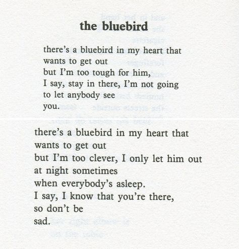 Charles Bukowski Quotes | Charles Bukowski. Bluebird in my heart | Quotes Bluebird In My Heart, Charles Bukowski Quotes, Bird Quotes, Fina Ord, Charles Bukowski, Poem Quotes, Bukowski, Wonderful Words, Bluebird