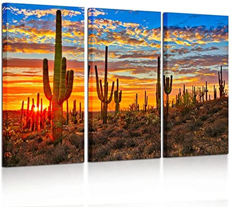 Beautiful Sunset Landscape, Cactus Photo, Cactus Pictures, Cactus Wall Art, Desert Painting, Desert Cactus, Sonoran Desert, Sunset Landscape, Landscape Pictures