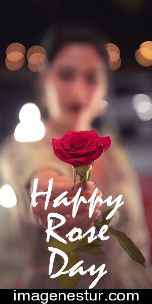 Rose Day Couple, Rose Day Couple Pic, Valentineday Image, Happy Rose Day Couple Pic, Happy Rose Day Pic, Happy Rose Day Images, Happy Rose Day My Dear Wife, Rose Day Real Pic, Rose Day Special