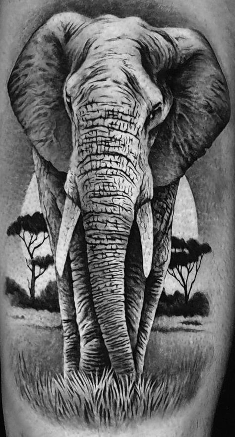 Safari Leg Tattoo, Maa Tattoo Designs, Maa Tattoo, Tattoo Perna, Tattoo Samples, Shin Tattoo, Animal Tattoo Ideas, Elephant Tattoo Design, Bike Tattoos