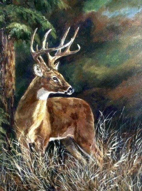 Deer Paintings, Hunting Painting, Forest Oil Painting, Deer Artwork, Deer Drawing, Deer Pictures, Deer Buck, Deer Painting, Deer Art