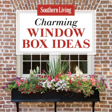 Add charm to your home with window boxes. English Cottage Window Boxes, Window Boxes On Brick House, Window Box Ideas, Small Scale Gardening, Bread Machines, Window Box Garden, Summer Window, Window Box Flowers, Window Planters