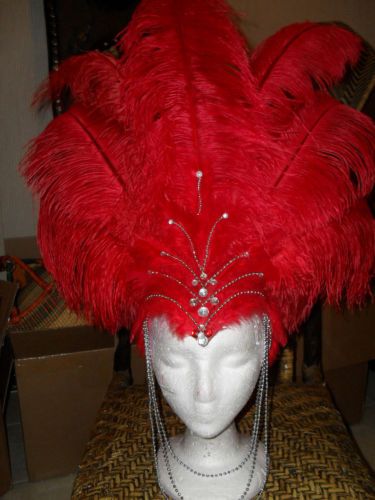 The head piece. Showgirl Headdress, Seussical Jr, Seussical Costumes, Kentucky Derby Style, Head Dresses, Show Girl, Red Hat Ladies, Carnival Dress, Funky Hats