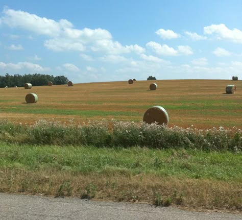 northern indiana summer Indiana Core, Indiana Aesthetic, Northern Aesthetic, Midwestern Summer, Indiana Summer, Midwest Summer, Midwest Emo, Northern Indiana, Southern Gothic