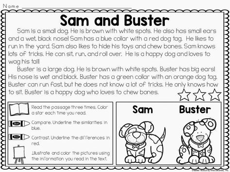 Compare and Contrast Passages for Reading Comparing Texts, Reading Skills Worksheets, Ell Activities, 1st Grade Reading Worksheets, Compare Contrast, First Grade Worksheets, Comprehension Skills, Medium Layered, Reading Comprehension Skills