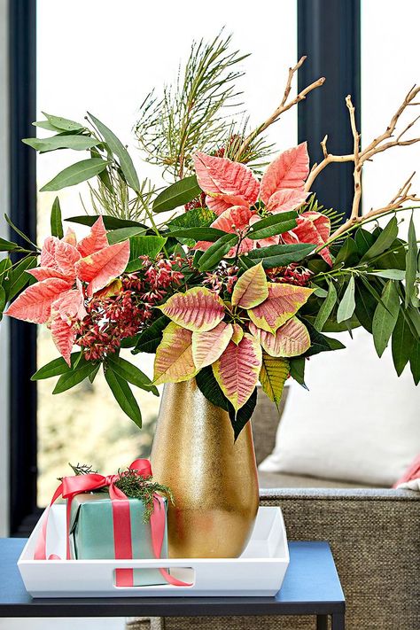 Try some of these ideas for decorating with this classic Christmas plant. We're sharing poinsettia decorating ideas for nearly every room of your home. #christmasdecor #poinsettias #holidaydecor #ideas #display #bhg Poinsettia Decorating Ideas, Elegant Wreaths, Easy Holiday Decorations, Winter Flower Arrangements, Christmas Plant, Holiday Decorating Ideas, Tall Floral Arrangements, Poinsettia Decor, Winter Floral Arrangements