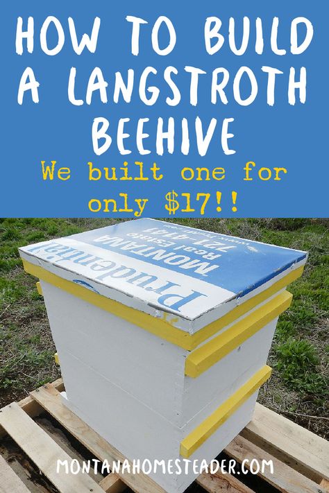 How to build a 10 frame Langstroth Bee Hive for cheap. We built one for only $17! Honey Bee Facts, Bee Hives Diy, Langstroth Hive, Bee Hive Plans, Frames Diy, Homesteading Diy, Backyard Beekeeping, Bee Boxes, Homestead Survival