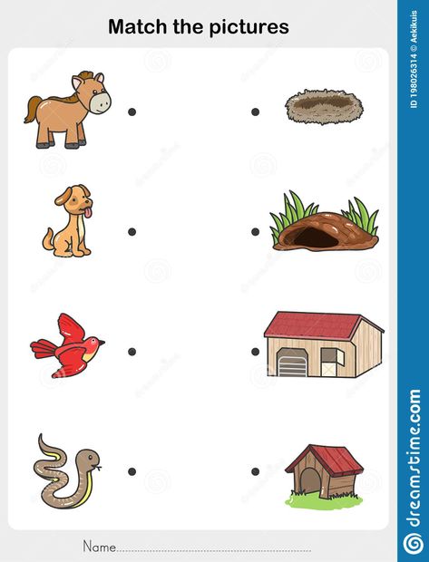 Match the Pictures of Animal and Their Homes. - Flashcards for Education Stock Vector - Illustration of horse, hole: 198026314 January Preschool Worksheets, Coloring Pictures Of Animals, Animals And Their Homes, Animal Homes, Matching Activities, Animal Worksheets, Worksheets For Preschool, Printable Preschool Worksheets, Kids Math Worksheets