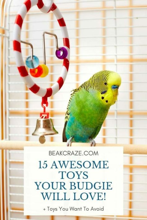 Diy Budgie Toys, Homemade Bird Toys, Parakeet Care, Budgie Cage, Diy Bird Cage, Budgie Toys, Parakeet Toys, Diy Bird Toys, Parakeet Cage