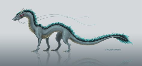 Wolf And Dragon, Chinese Dragon Drawing, Long Dragon, Dragon Concept, Dragon Anatomy, Snake Dragon, Eastern Dragon, All Godzilla Monsters, Asian Dragon