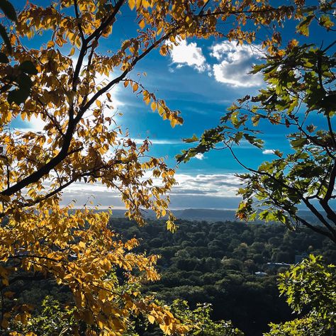 🍂I always dreamt about fall in New England…Now here we are in Connecticut, taking it all in! 🤎Follow along for fun and beautiful spots to visit this autumn! #gilmoregirlsfall #newenglandfall #familytravel #travelwithkids #familytraveltips #fallactivities #ctmomblogger #newenglandmoms Nh Aesthetic, Fall In New England, New England Fall, Autumn Activities, Gilmore Girls, Travel With Kids, Connecticut, Family Travel, New England