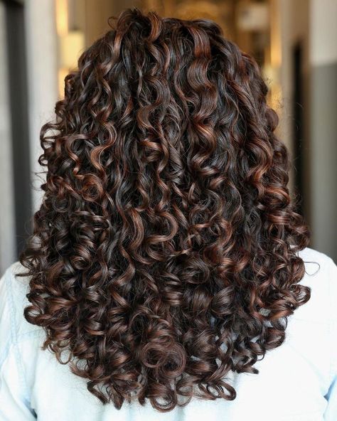 Curly Hair Dark With Highlights, Cute Highlights For Curly Hair, Curly Black Hair With Caramel Highlights, Natural Highlights In Brown Hair, Chocolate Curly Hair Highlights, Highlight In Dark Brown Hair, Brown Highlights In Curly Hair, Black Brown Curly Hair, Curly Low Lights Dark Brown