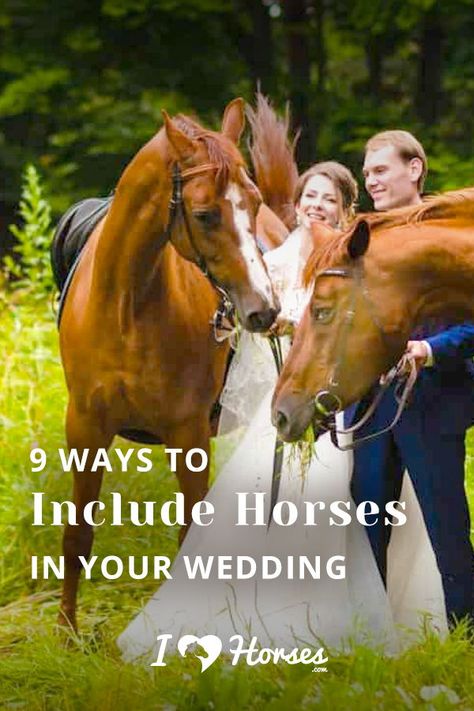 We all love our horses so much that we want them to be a part of the biggest moments of our lives, including our weddings. Here are some ways that you can include your horse in one of the happiest times of your life (besides the day you bought your horse). Horseback Riding Wedding, Horses In Weddings, Weddings With Horses, Wedding Ideas With Horses, Horse In Wedding, Horse Theme Wedding, Horse Wedding Ideas, Horse Wedding Theme, Equestrian Humor