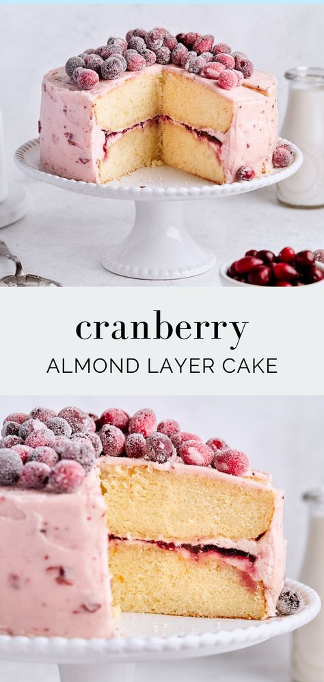 Cranberry almond layer cake is perfect for the holidays! You'll love this soft almond cake topped with cranberry frosting and sugared cranberries. Almond Cranberry Cake, Cranberry Almond Cake, Cranberry Cake Filling, Cranberry Chocolate Cake, Cranberry Cake Recipes, Cranberry Frosting, Christmas Cranberry Cake, Almond Layer Cake, Cranberry Cake Recipe