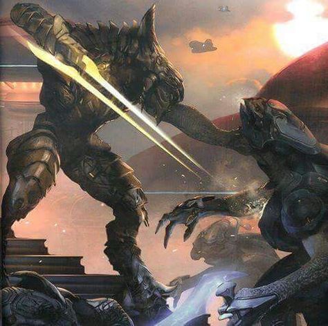 I always thought the Arbiter's sword was infinitely more awesome than the regular energy swords Explosion Art, The Arbiter, Halo Backgrounds, Halo Video Game, Halo Spartan, Halo Art, Halo Series, Halo Master Chief, Halo Armor