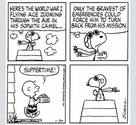 Peanuts Snoopy Comics, Woodstock Snoopy, Snoopy Comics, Snoopy Cartoon, Peanuts Comic Strip, Snoopy Funny, Flying Ace, Cartoon Strip, Peanuts Cartoon