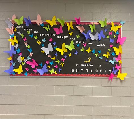 Bulletin Board Ideas Butterflies, Butterflies Bulletin Board Ideas, The Wonder Of Teaching Is Watching Caterpillars Become Butterflies, Butterfly Themed Classroom Decor, Butterfly Classroom Theme Decorations, Butterfly Door Decorations Classroom, Butterfly Bulletin Board Ideas, Pre K Bulletin Board Ideas, Birthday Boards Classroom Preschool