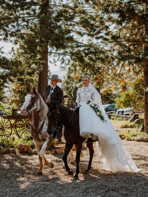 Timeless Bride riding in Horseback
Photo by: Heather Murphy Photography
Venue: Iron Horse Unlimited Mount Shasta, CA Horse At Wedding, Bride On Horse, Timeless Bride, Country Bride, Horse Wedding, Events Planning, Mount Shasta, Iron Horse, Horse Riding