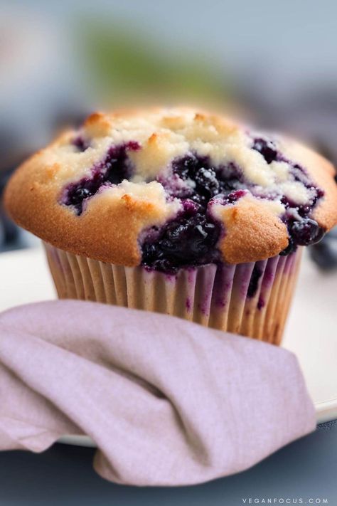 The Best Vegan Blueberry Muffins - Vegan Focus Blueberry Strudel, Vegan Blueberry Muffins, Blueberry Oatmeal Muffins, Vegan French, Muffins Vegan, Blueberry Cupcakes, Vegan Baking Recipes, Organic Blueberries, Vegan Blueberry