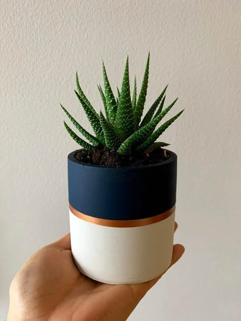 Pot Diy, Plant Pot Design, Flower Pot Art, Plant Pot Diy, Pots Diy, Flower Pot Design, Painted Plant Pots, Painted Pots Diy, Pot Painting