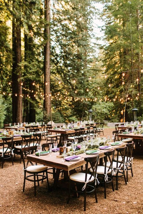 Launch yourself into the magic of this serene Redwoods forest wedding Redwood Forest Wedding, Twilight Wedding, Wedding Forest, Redwood Wedding, Forest Theme Wedding, Forest Aesthetic, Cheap Wedding Venues, Enchanted Forest Wedding, Unique Wedding Venues