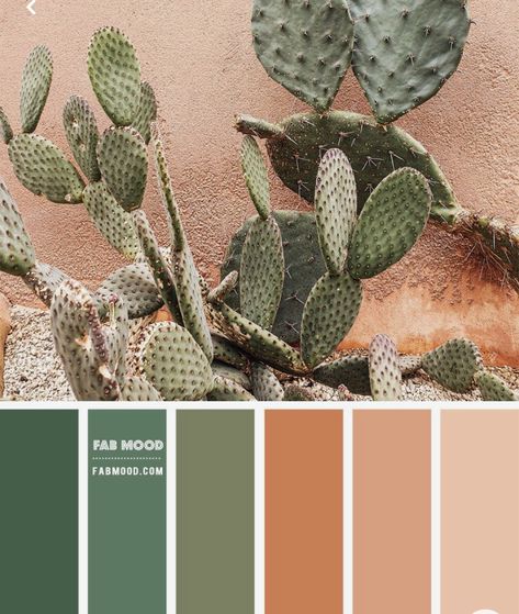 Boho Desert Color Palette, Earthy Pallet Colour Palettes, Desert Boho Bathroom, Desert Theme Room, Natural Color Palette Earth Tones Colour Schemes, Color Palette Green Terracotta, Cactus Green Paint Color, Desert Room Aesthetic, Desert Oasis Bathroom