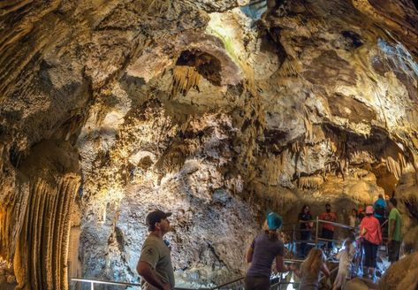 Lake Shasta Caverns, Northern California Road Trip, Lake Shasta, Natural Water Slide, Fern Canyon, Mendocino Coast, Sacramento River, South Lake Tahoe, Scenic Beauty