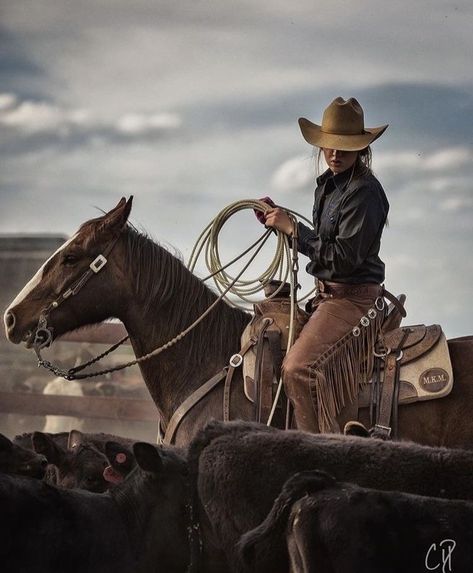 Arte Cowboy, Mode Country, Cowboy Photography, Foto Cowgirl, Western Photoshoot, Cowgirl Pictures, Western Photo, Western Photography, Rodeo Life