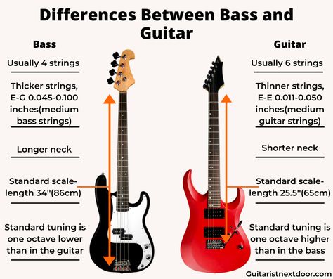 What's the difference between bass and guitar? How you can instantly tell which one is which? Which one is harder to master?  Should you learn to play one before the other? All these questions(and more) are answered in the post I just made. Go and check it out at Guitarisnextdoor.com! How To Learn Bass Guitar, Bass Vs Electric Guitar, Learn Bass Guitar Beginner, Bass Guitar Tutorial Beginner, How To Play The Bass Guitar, Learning Bass Guitar, Electric Guitar Beginner Tips, Types Of Electric Guitars, Electric Guitar Types