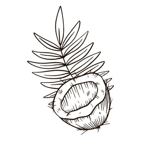 Half coconut hand drawn #AD , #affiliate, #Sponsored, #drawn, #hand, #coconut Lime And Coconut Tattoo, Coconut Tattoo Minimalist, Coconut Tattoo, Patronus Tattoo, Coconut Pattern, Sketching Reference, Fruit Tattoo, Draw Hands, Tattoo Minimalist